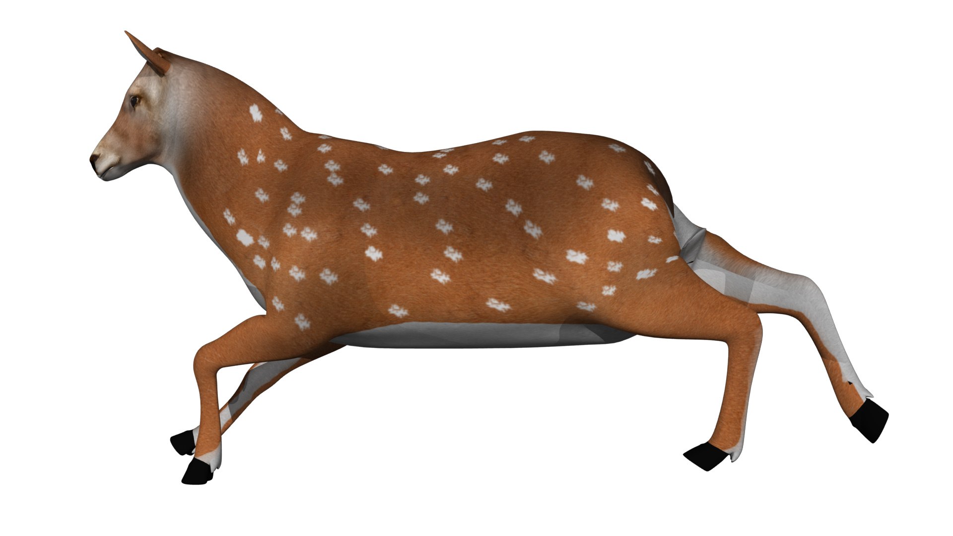 rigged deer animations model https://p.turbosquid.com/ts-thumb/Hn/YemAQs/EuCpebwK/7/jpg/1549712593/1920x1080/fit_q87/6c5a5d609511f7358e92f15e32cdaf5f951b8e3a/7.jpg