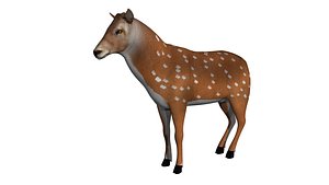 rigged deer animations model