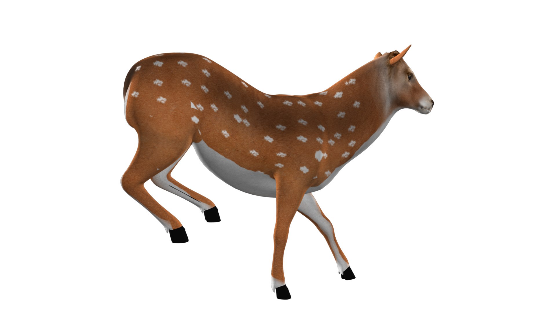 rigged deer animations model https://p.turbosquid.com/ts-thumb/Hn/YemAQs/RzxKPFEI/6/jpg/1549712593/1920x1080/fit_q87/6ed4d8a184f1882f47b9e0046733820deb2c9c3b/6.jpg