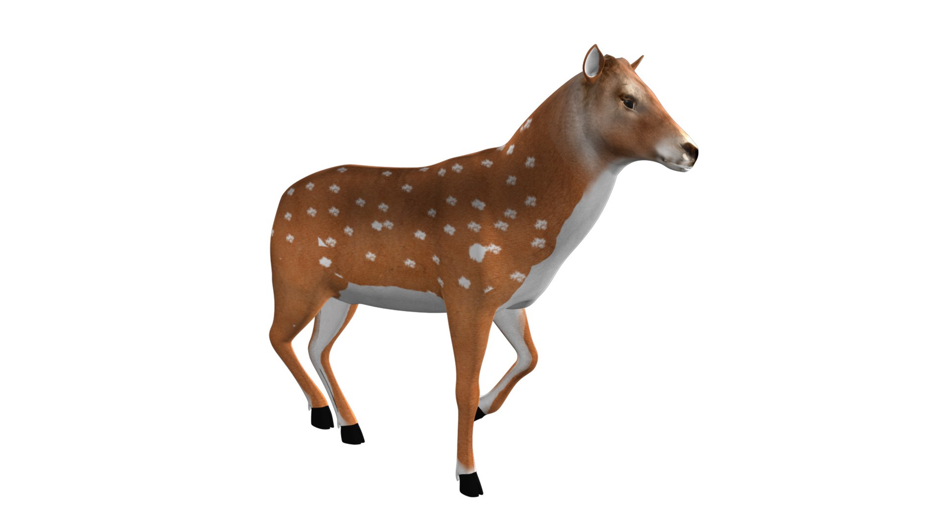 rigged deer animations model https://p.turbosquid.com/ts-thumb/Hn/YemAQs/ggK9BBRU/2/jpg/1549712593/1920x1080/fit_q87/3ab3e7298cc8117fba423771fed238f730c26bd8/2.jpg