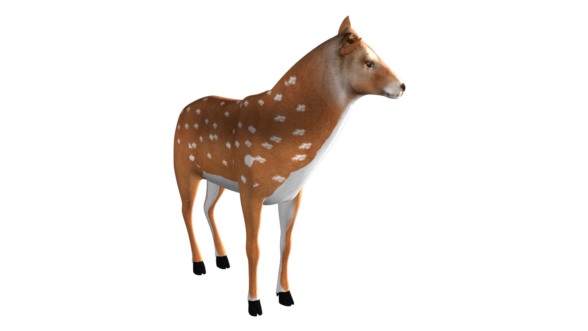 rigged deer animations model https://p.turbosquid.com/ts-thumb/Hn/YemAQs/t5DfwToH/8/jpg/1549712593/1920x1080/fit_q87/9043cd11149930b7b63213d92ef5b9ffe869627b/8.jpg