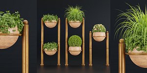3D indoor plants new collection vol 35-Blender