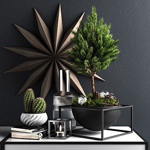 decorative set pine 3D