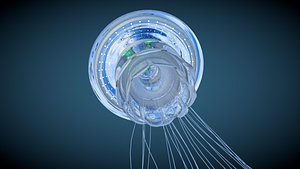 3d model qualle jellyfish