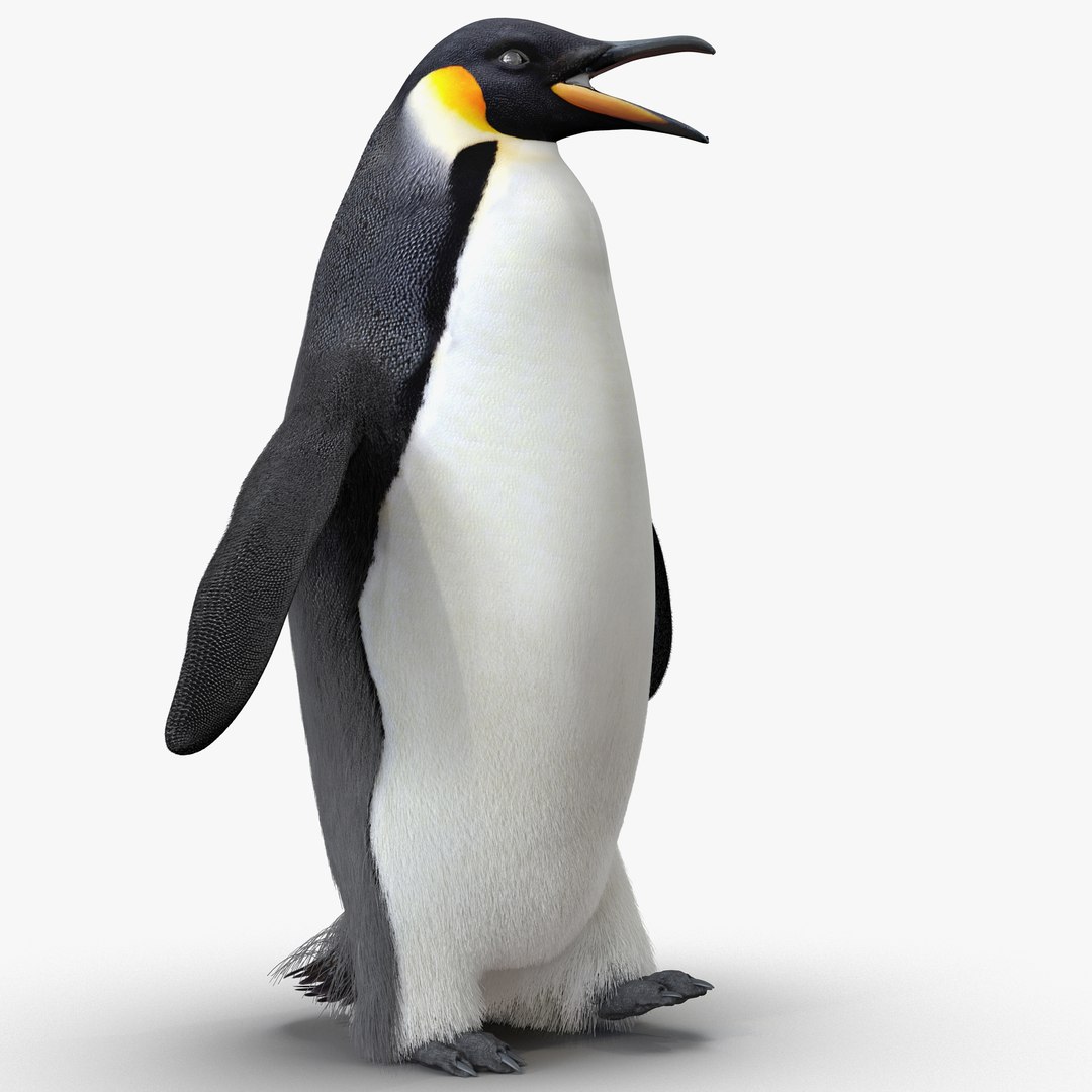 Emperor Penguin Rigged with Fur 3D model preview