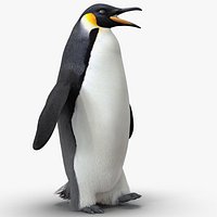 Emperor Penguin Rigged with Fur