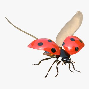 max flying ladybug rigged