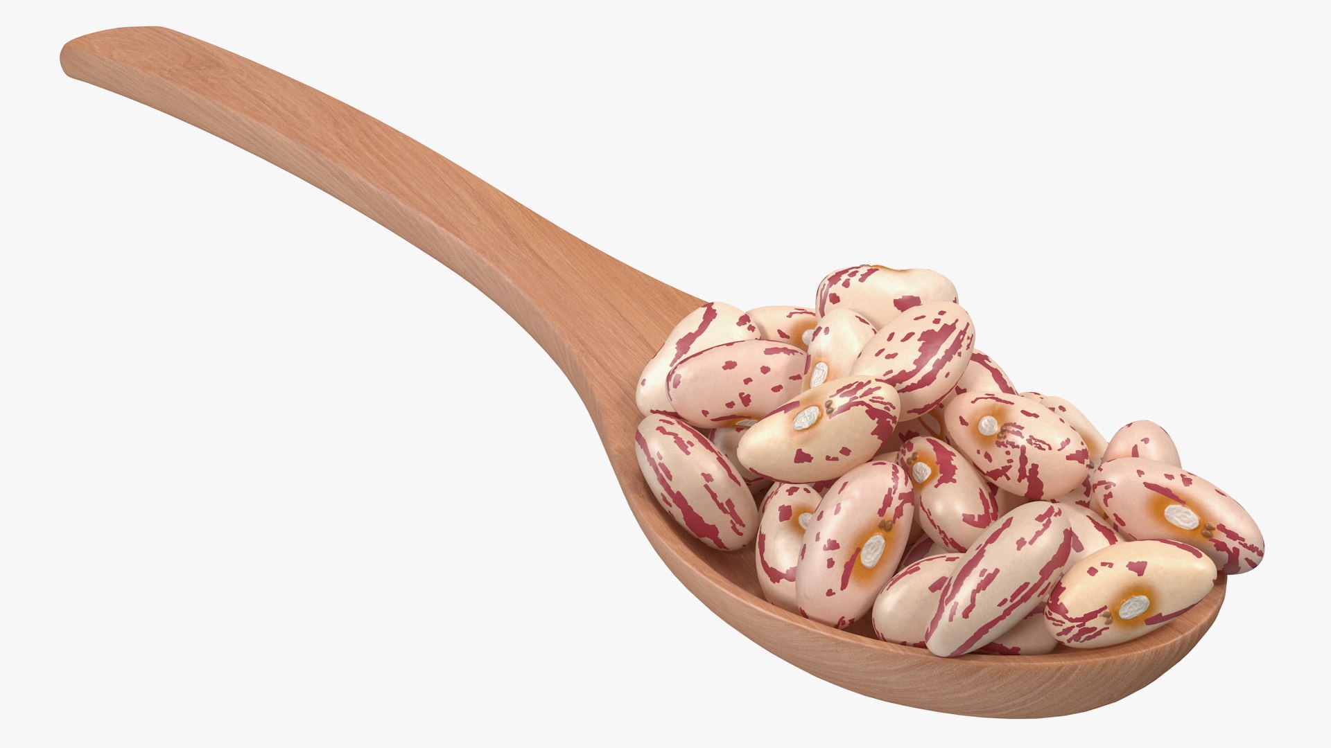 Roman Bean In a Wooden Spoon 3D model preview