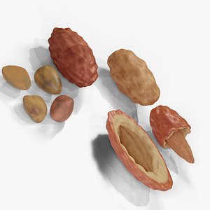Dates And Roasted Peanuts