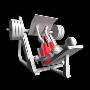 Leg Press