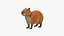 Realistic 3D Capybara Model Game Ready 3D model
