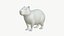 Realistic 3D Capybara Model Game Ready 3D model