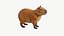 Realistic 3D Capybara Model Game Ready 3D model