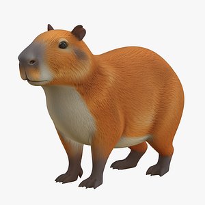 Realistic 3D Capybara Model Game Ready 3D model