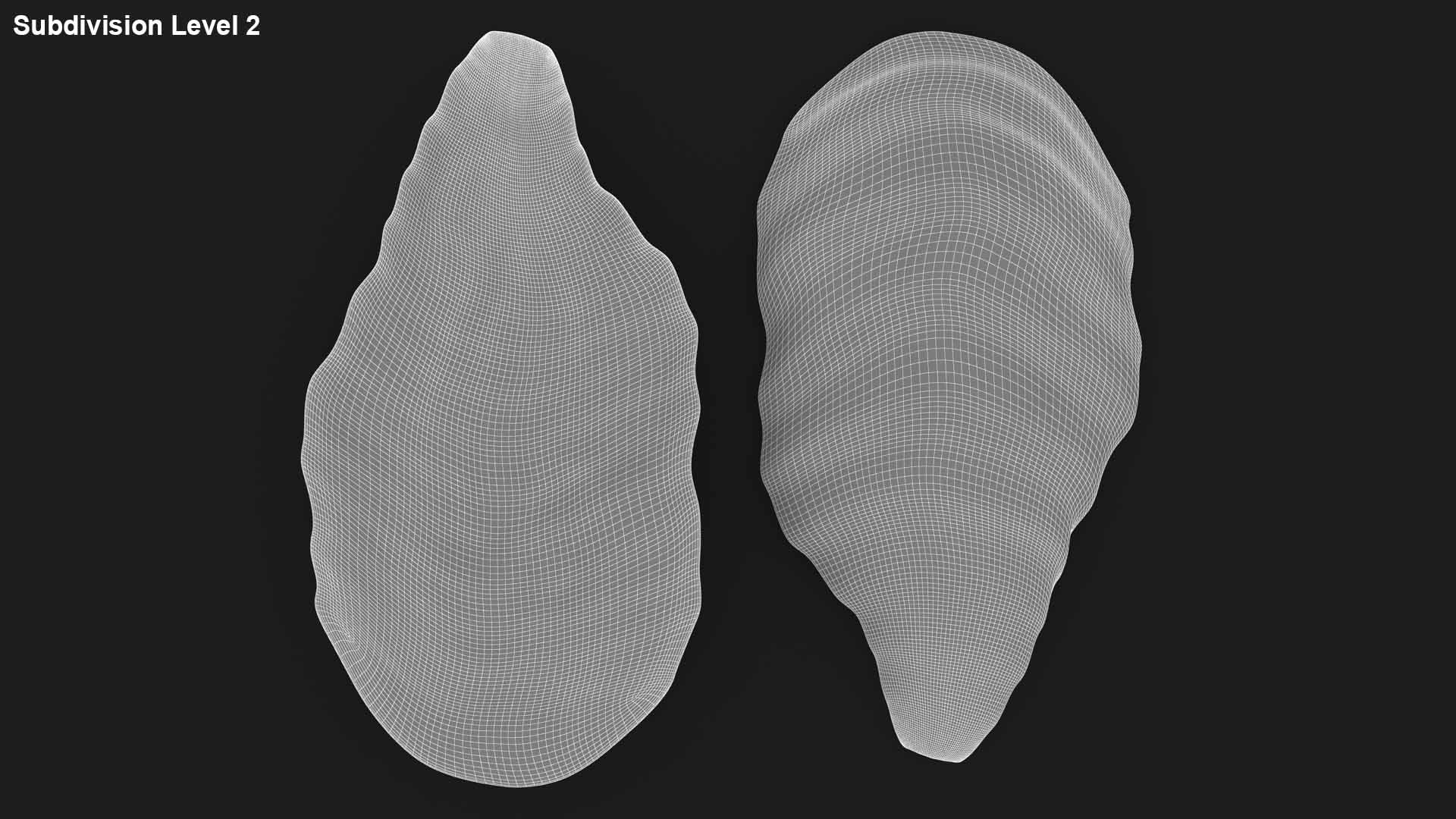 3D live oysters pose 2 model https://p.turbosquid.com/ts-thumb/Ho/JH02EB/jwyzvvxy/lemon_rr_31/jpg/1578910970/1920x1080/fit_q87/6c508d2f9834a537a0e4e7ce314149977594386a/lemon_rr_31.jpg