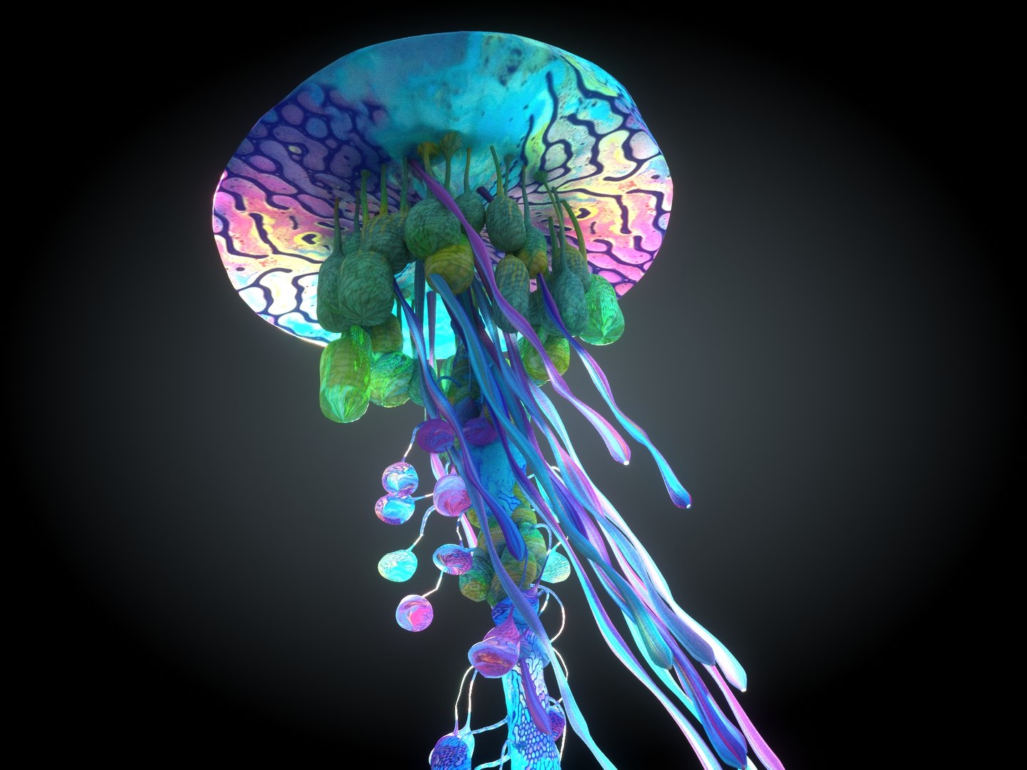 pandora pack 30 tree 3D https://p.turbosquid.com/ts-thumb/Ho/KirAXl/9lY9VHAe/9990890/jpg/1573861373/1920x1080/fit_q87/e73818c301357bcdf0feb0b04141e8bbcb690771/9990890.jpg