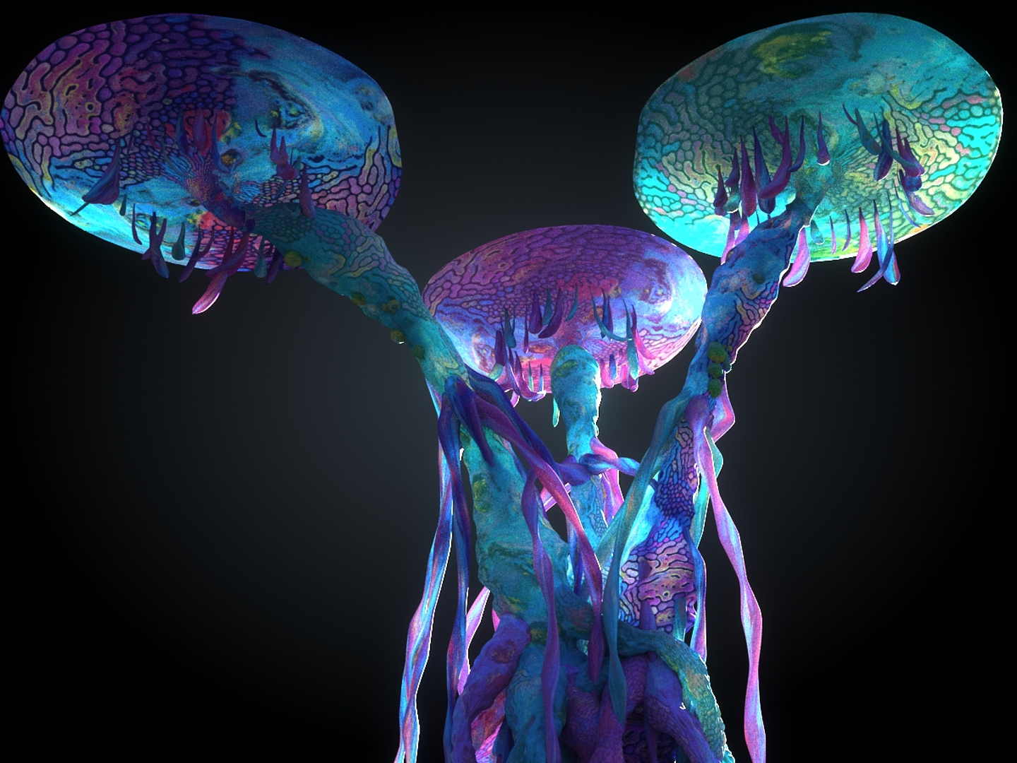 pandora pack 30 tree 3D https://p.turbosquid.com/ts-thumb/Ho/KirAXl/UPyl8mXp/0000/jpg/1573861067/1920x1080/turn_fit_q99/4757c390864121965673ebeea345f61bfda1c02d/0000-1.jpg