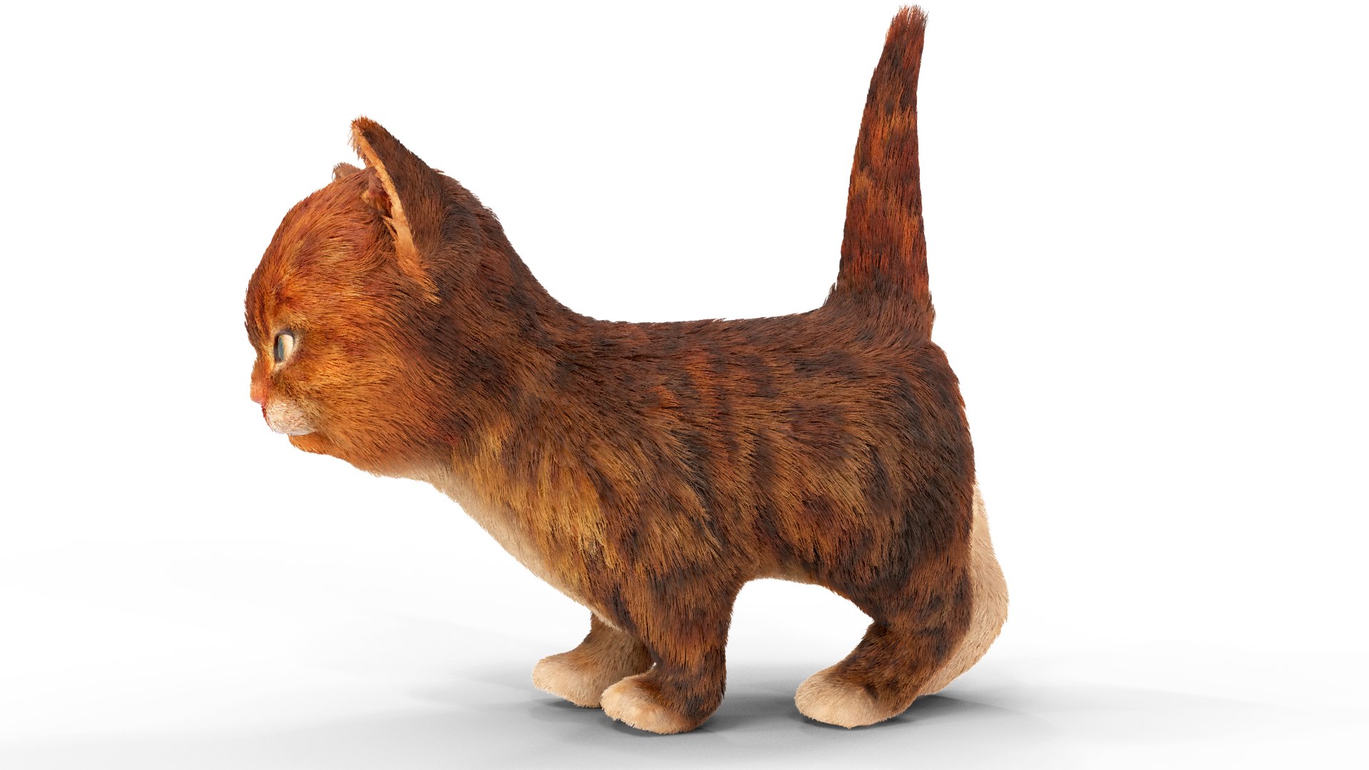 Fur Cute Red Cat Kitten Animated 3D model https://p.turbosquid.com/ts-thumb/Ho/NJEf3G/5P/pose08/png/1617859367/1920x1080/fit_q87/44bf456112adff681d06718c872c9f20dc0eceb6/pose08.jpg