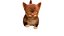 Мех Котенок Милый Рыжий Кот Анимированный