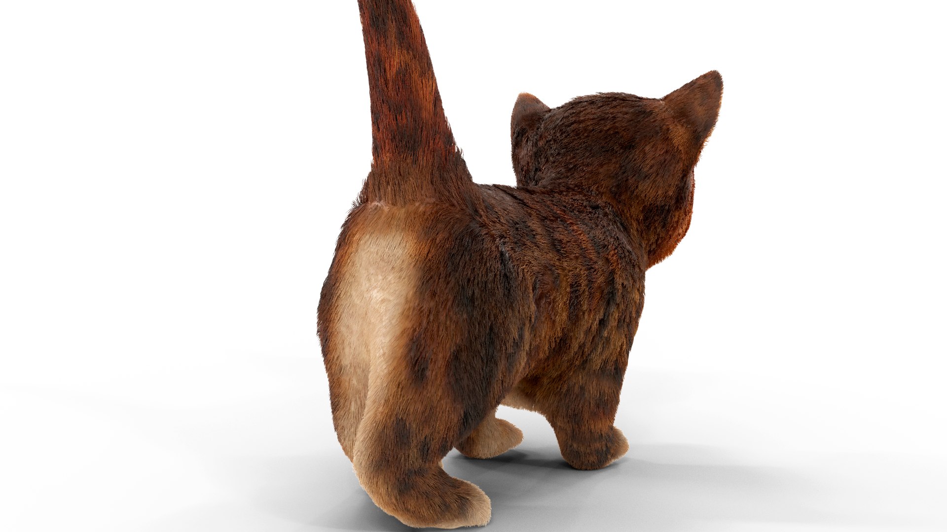 Fur Cute Red Cat Kitten Animated 3D model https://p.turbosquid.com/ts-thumb/Ho/NJEf3G/Tf/pose07/png/1617859357/1920x1080/fit_q87/0e1ec3bd58cdac452b82771fb718c28f7f8162d7/pose07.jpg