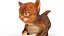 Мех Котенок Милый Рыжий Кот Анимированный