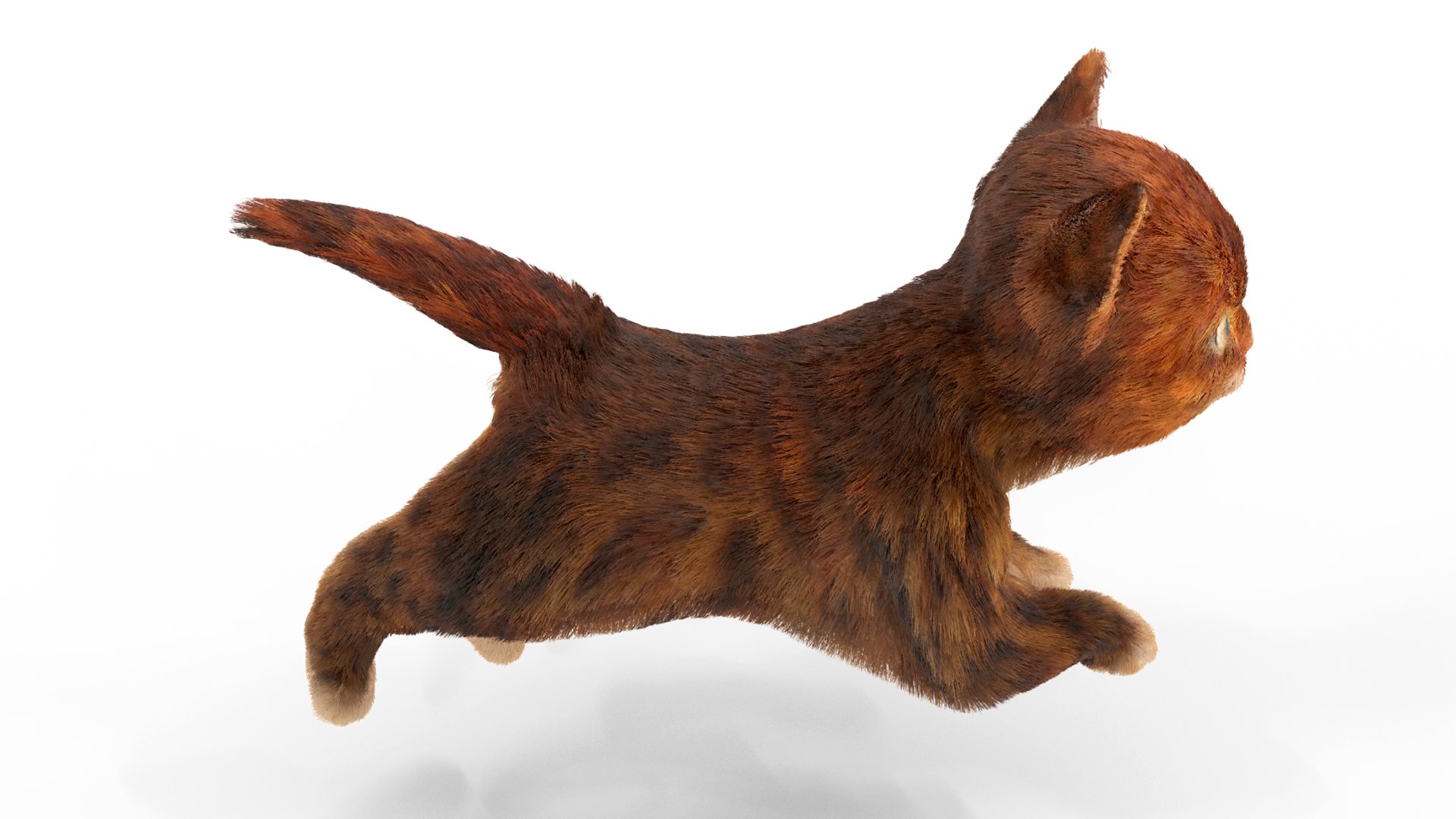 Fur Cute Red Cat Kitten Animated 3D model https://p.turbosquid.com/ts-thumb/Ho/NJEf3G/jm/pose05/png/1617859357/1920x1080/fit_q87/8ee5596c334c92e68d1df263bd7091c83f02e832/pose05.jpg