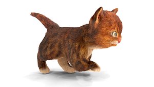 Fur Cute Red Cat Kitten Animated 3D model