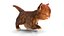 Мех Котенок Милый Рыжий Кот Анимированный