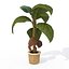 XfrogPlants観葉植物1ライブラリ