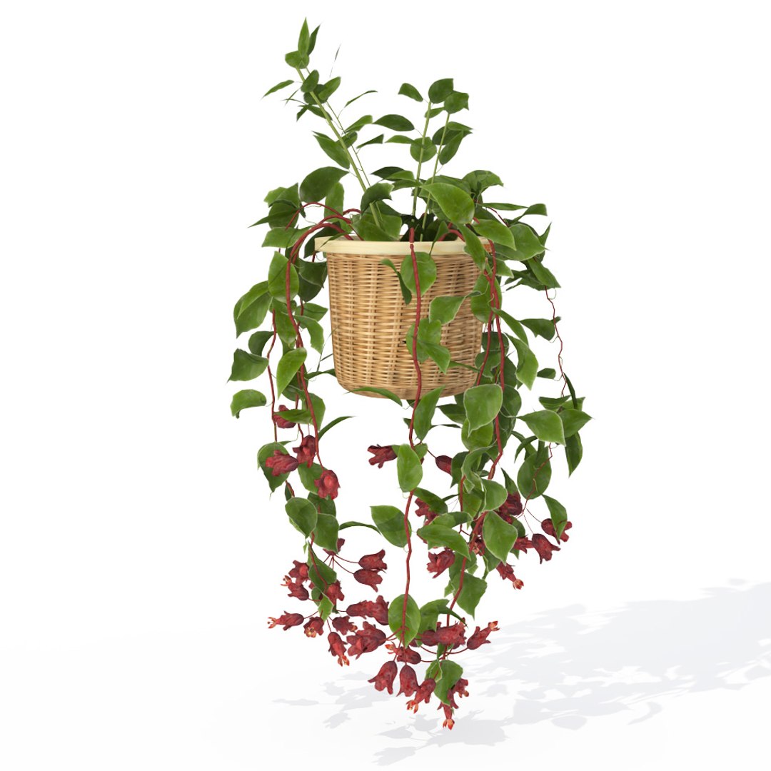 houseplants dvd plant 3d model https://p.turbosquid.com/ts-thumb/Ho/plwGQi/JIuxrd0N/hp01monalisa2/jpg/1462561503/1920x1080/fit_q87/fc98c5cd90dd977fd7873ffe5510efffa49cd0ba/hp01monalisa2.jpg