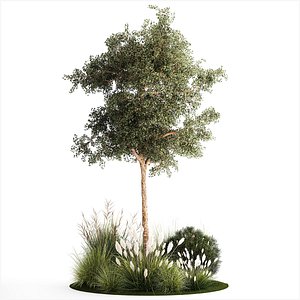 Beautiful garden made of topiary tree bushes grass 1342