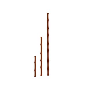 bamboo 3D model