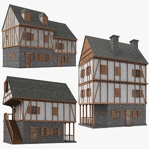 3D real medieval houses