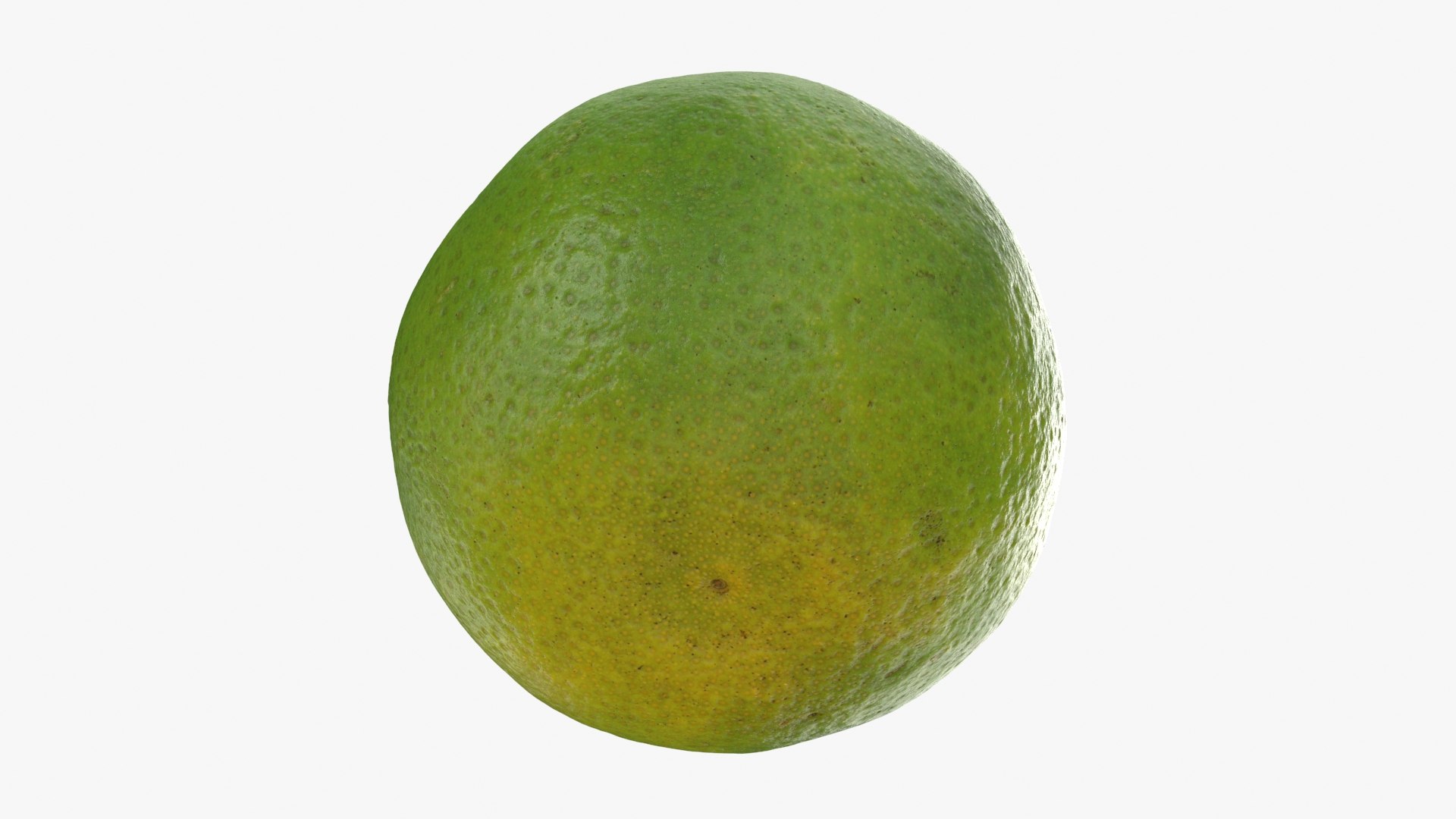 Green Mandarin 02 3D model https://p.turbosquid.com/ts-thumb/Hp/k8YDKO/9A/mandaringreen2_b0020/jpg/1719773893/1920x1080/fit_q87/50b125485e3fd67deb1d29fe1e39fce53a7a855f/mandaringreen2_b0020.jpg