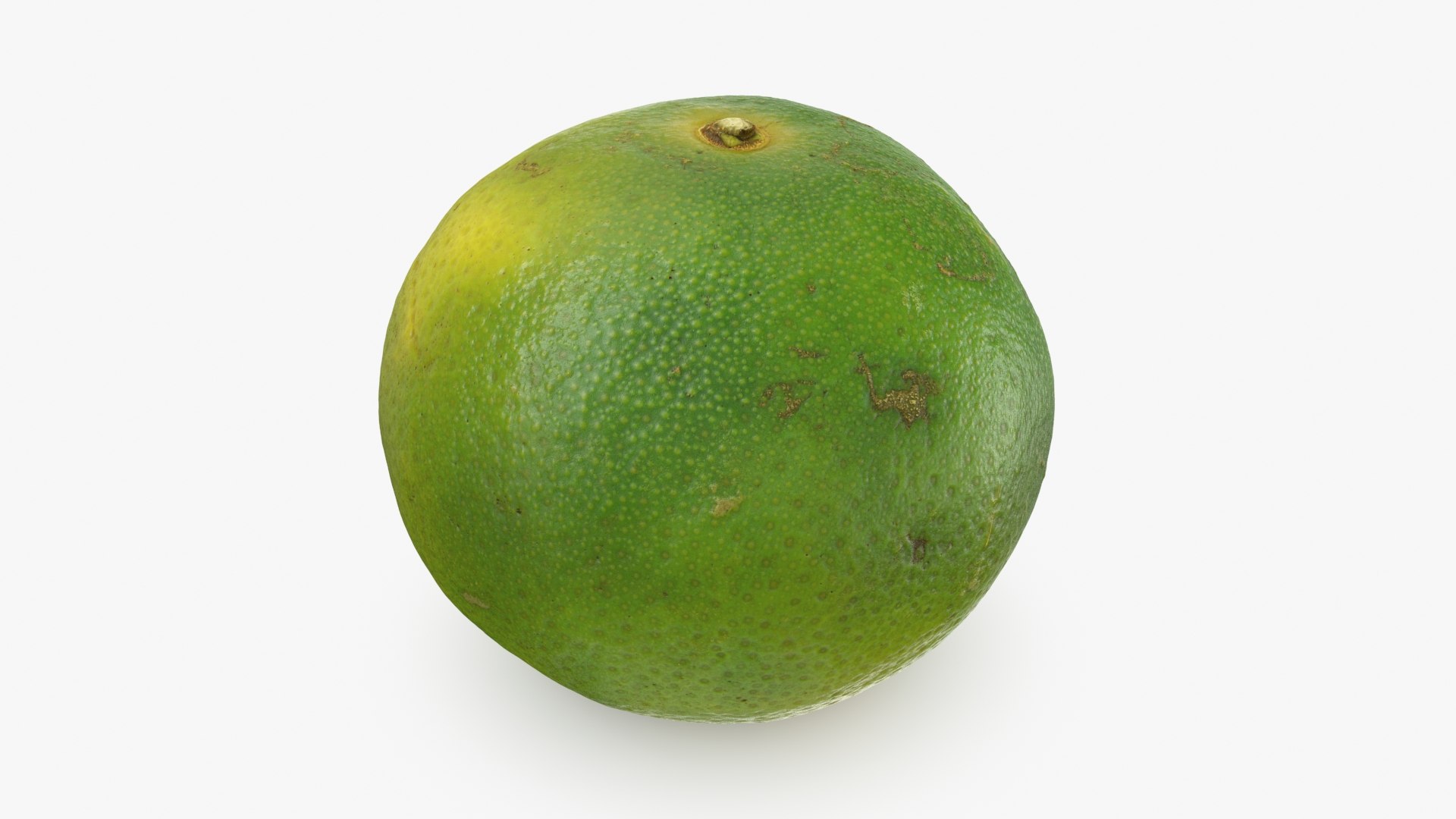 Green Mandarin 02 3D model https://p.turbosquid.com/ts-thumb/Hp/k8YDKO/9f/mandaringreen2_b0012/jpg/1719773890/1920x1080/fit_q87/6ea61309ea9b029f91d556ae0dbf73e57f1b133a/mandaringreen2_b0012.jpg