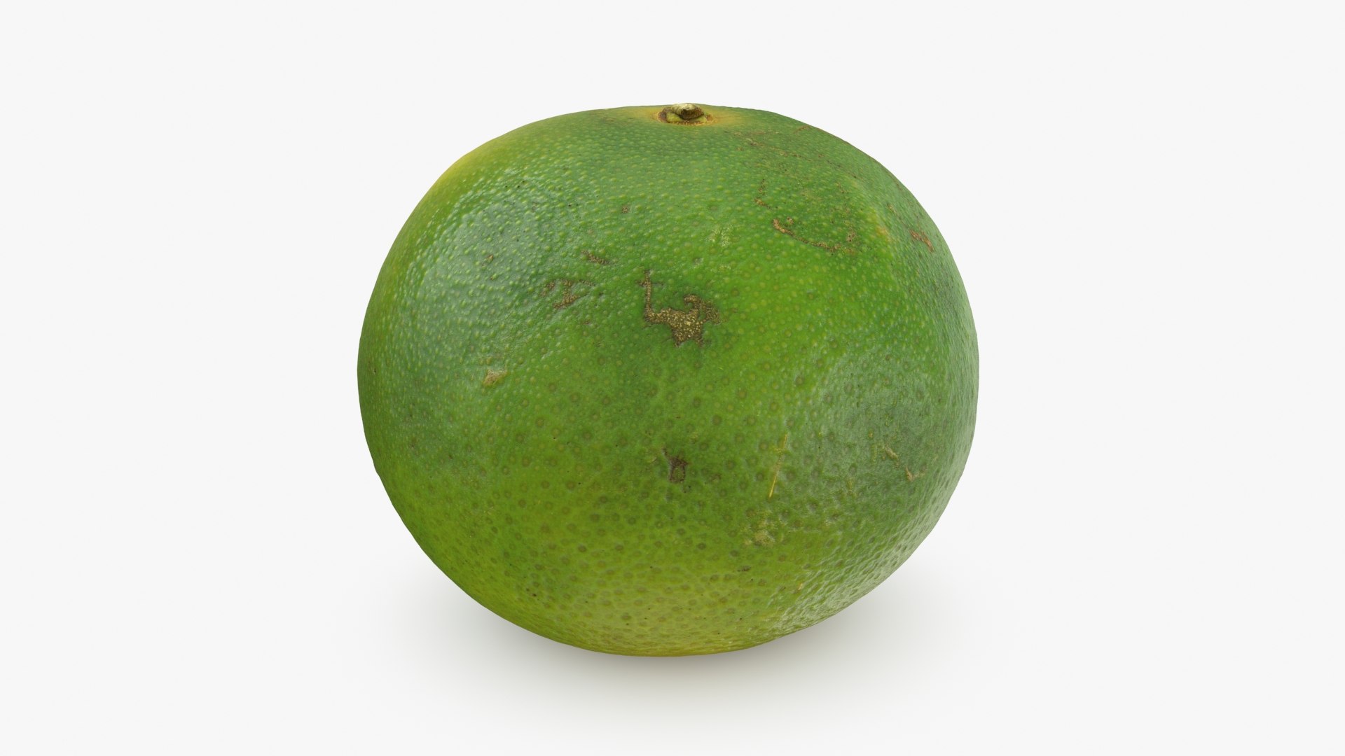 Green Mandarin 02 3D model https://p.turbosquid.com/ts-thumb/Hp/k8YDKO/IB/mandaringreen2_b0000/jpg/1719773885/1920x1080/fit_q87/6e7793e8da12587cbaabb2fbafc0a89c05c835ba/mandaringreen2_b0000.jpg