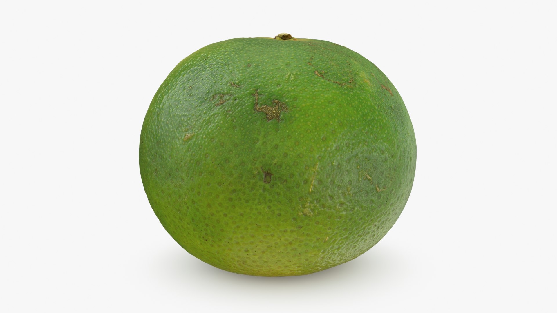 Green Mandarin 02 3D model https://p.turbosquid.com/ts-thumb/Hp/k8YDKO/Pv/mandaringreen2_b0014/jpg/1719773891/1920x1080/fit_q87/762a2e7ca2f7c09e2b96f878880ca7c91ef91af4/mandaringreen2_b0014.jpg