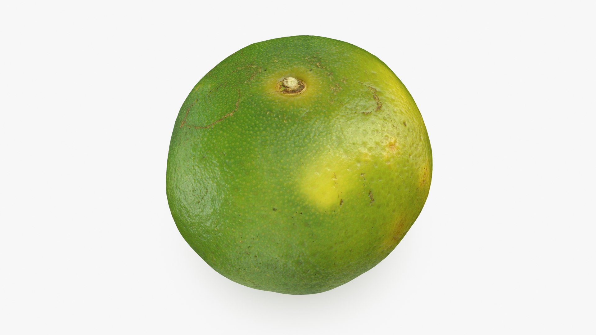 Green Mandarin 02 3D model https://p.turbosquid.com/ts-thumb/Hp/k8YDKO/Wb/mandaringreen2_b0016/jpg/1719773891/1920x1080/fit_q87/97eb8e9e47ddab808b53efdd8adc665ddad3adce/mandaringreen2_b0016.jpg