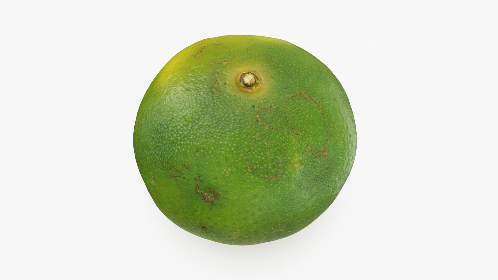 Green Mandarin 02 3D model https://p.turbosquid.com/ts-thumb/Hp/k8YDKO/y9/mandaringreen2_b0002/jpg/1719773886/1920x1080/fit_q87/5f44d69a73cb63986635078ca9192e18fa09cd36/mandaringreen2_b0002.jpg