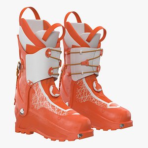 3D ski boots generic