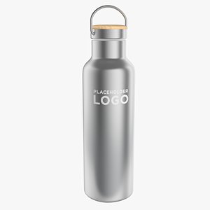 Stainless Steel Water Bottle model