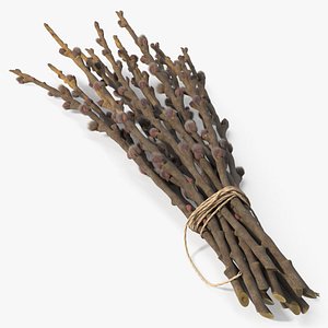Sheaf of Willow Branches Fresh Fur model