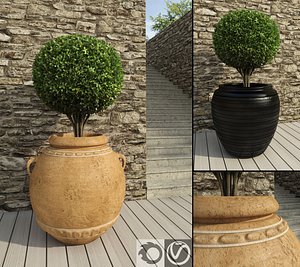 boxwoods rustic pots 3d max
