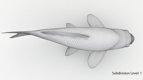 Koi fishes animation 3D model - TurboSquid 1438301