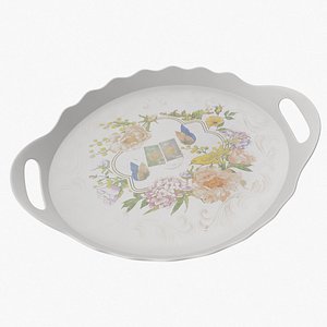 3D tray model