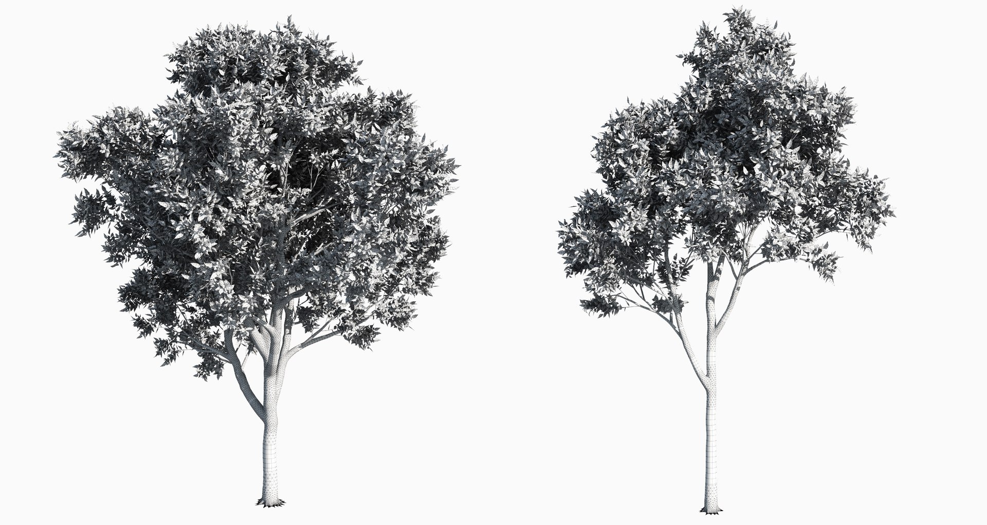 3D trees 3 model https://p.turbosquid.com/ts-thumb/Hq/dviE0a/1hijdHfA/elvn_tree_iii_24/jpg/1583481358/1920x1080/fit_q87/d6ed81472bfd337072f2c7593fa2443088a96c85/elvn_tree_iii_24.jpg