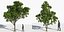 Eleven Trees 3 (+Growfx)