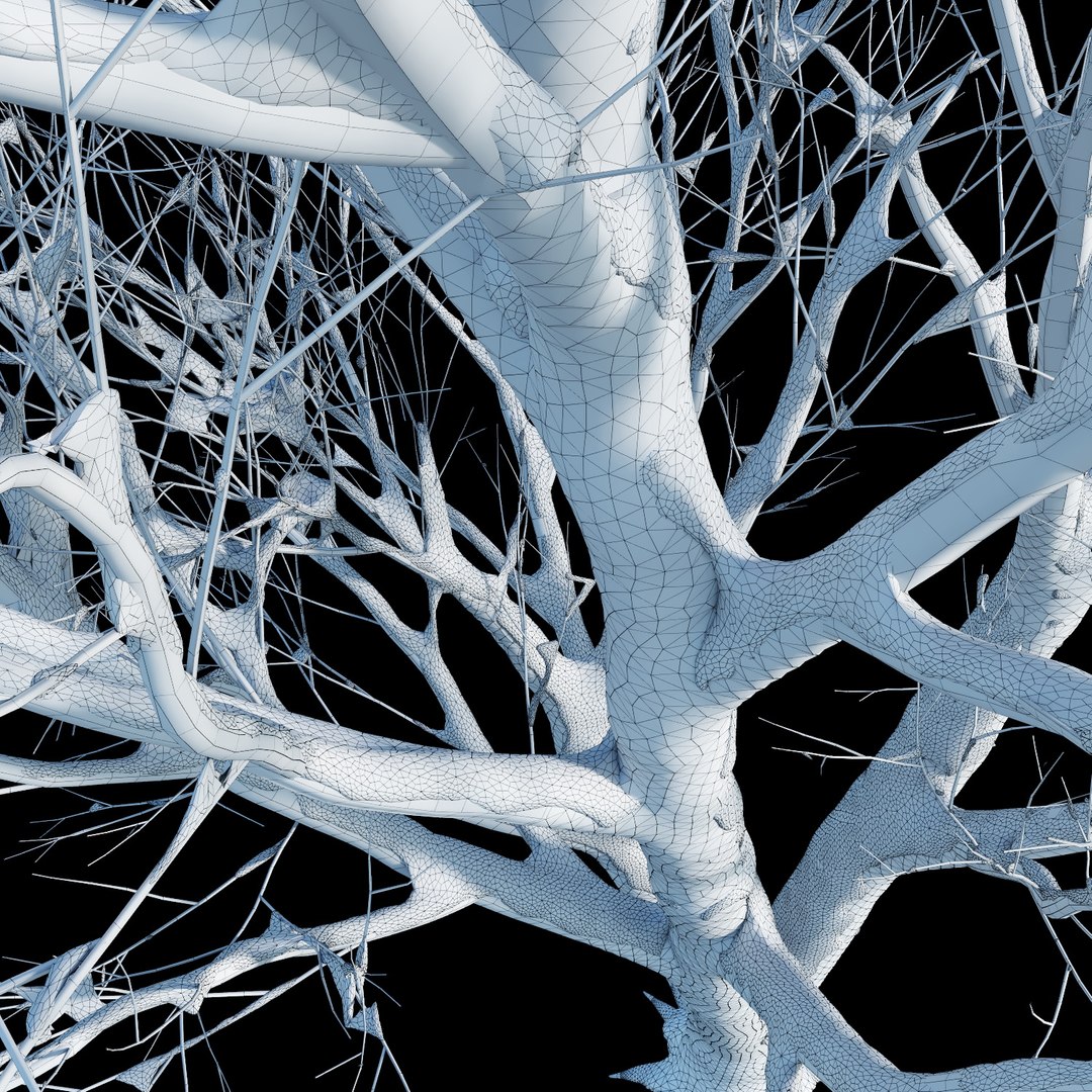 3D trees 3 model https://p.turbosquid.com/ts-thumb/Hq/dviE0a/53tAaPJw/weleven_iiisnowed18/jpg/1583481397/1920x1080/fit_q87/b9a30dc7aa6602d988c5fde140a4a58e0a9dc156/weleven_iiisnowed18.jpg