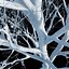 Eleven Trees 3 (+Growfx)