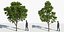 Eleven Trees 3 (+Growfx)